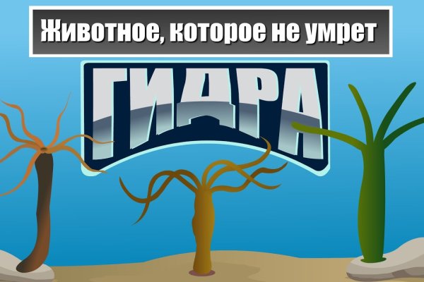 Кракен маркетплейс это