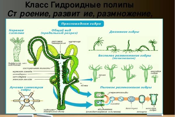 Кракен зарегистрироваться